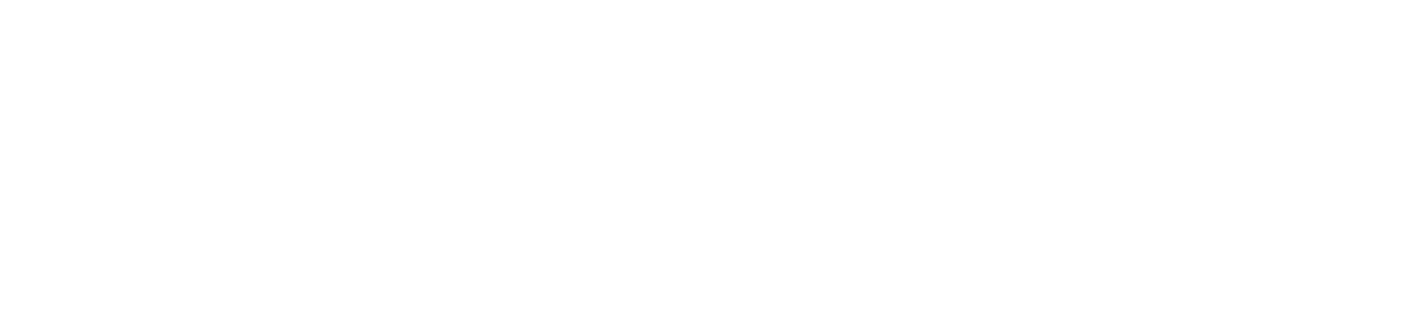 Zayan Doors